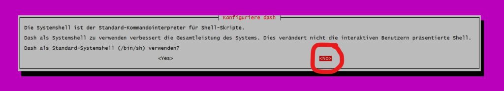 Pleskfehler Dash ändern